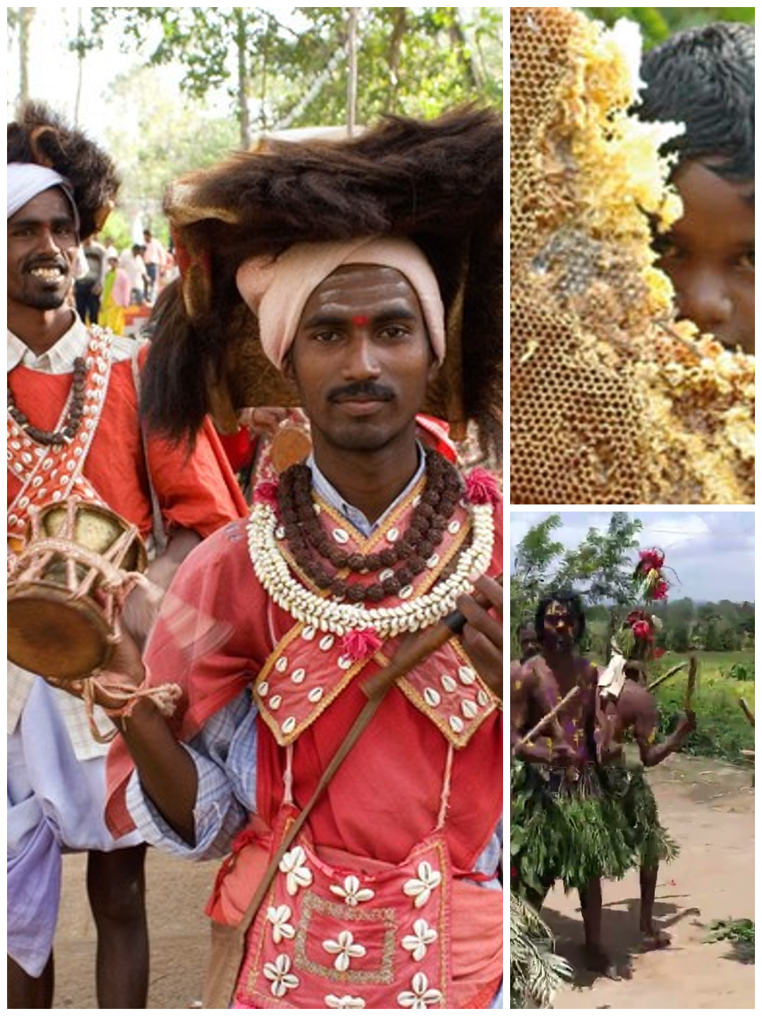 Jenu Kuruba, Karnataka Tribe